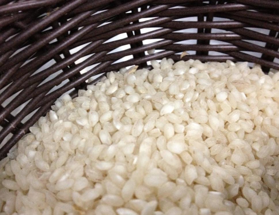 Bolu Kıbrıscık Rice | KÜRE Encyclopedia